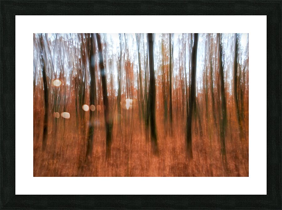 Panning Picture Frame print