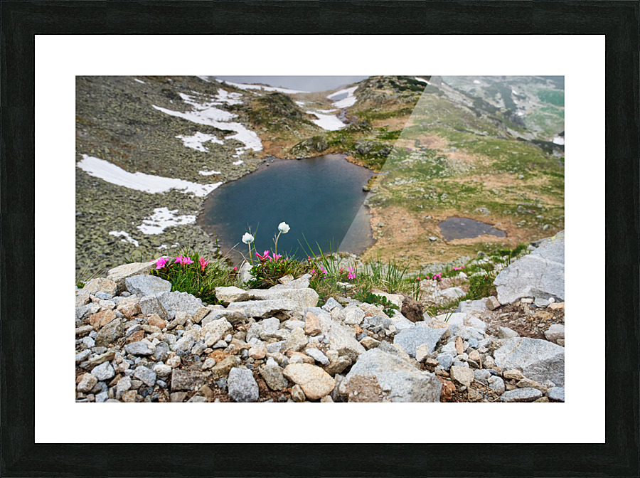 Mountain flowers Picture Frame print