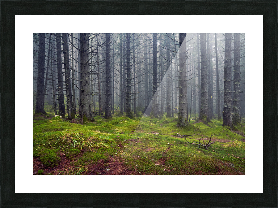 Silence Picture Frame print