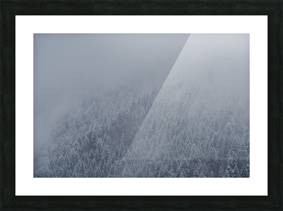 Wrapped in mist Picture Frame print