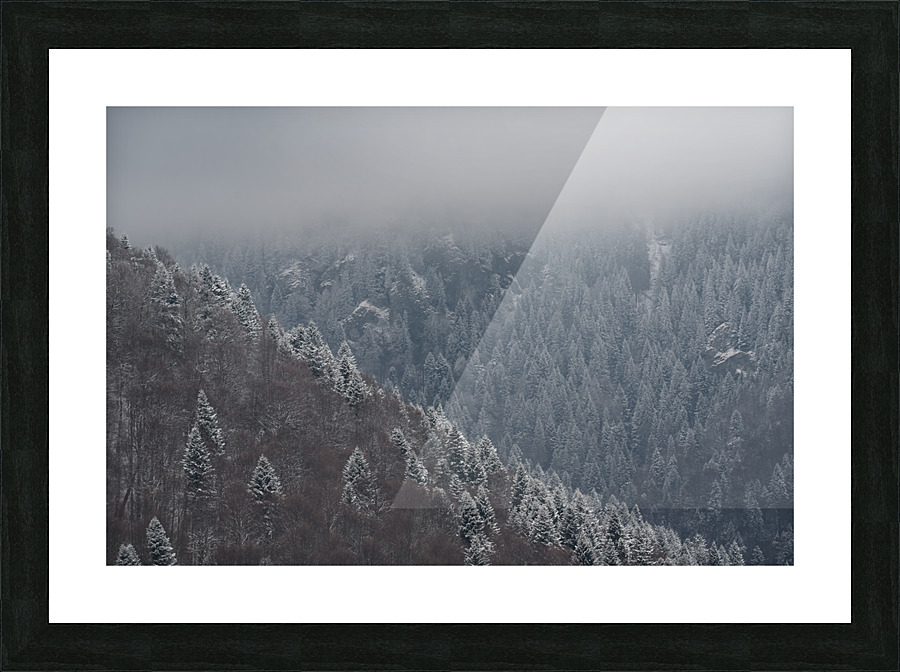 Trees covered by snow Picture Frame print