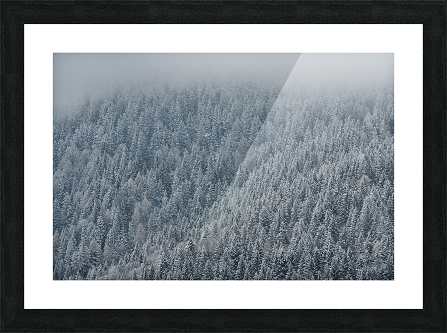 Frozen trees Picture Frame print