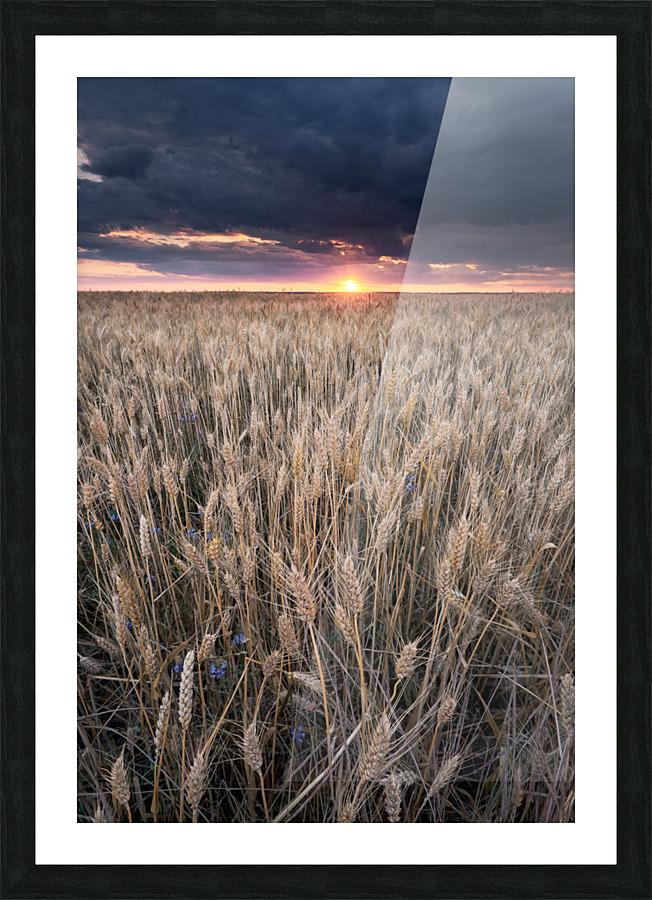 Summer sunset Picture Frame print