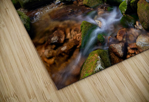 Forest Dream in Retezat Catalin Ene puzzle