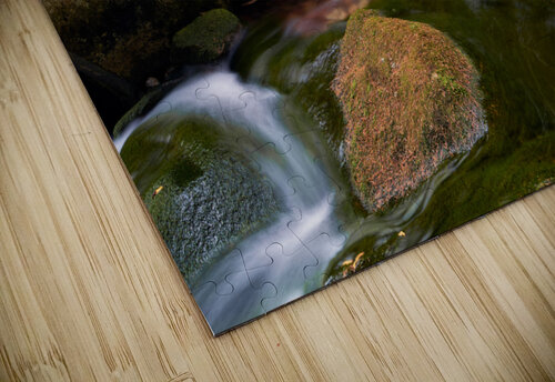 Waters powers Catalin Ene puzzle