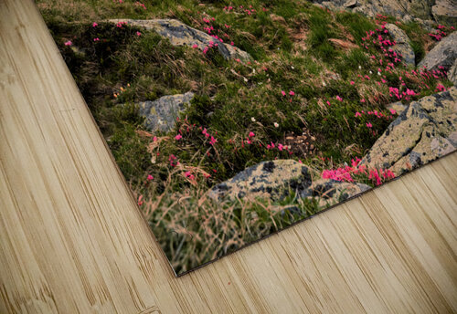 Misty Lakes Catalin Ene puzzle