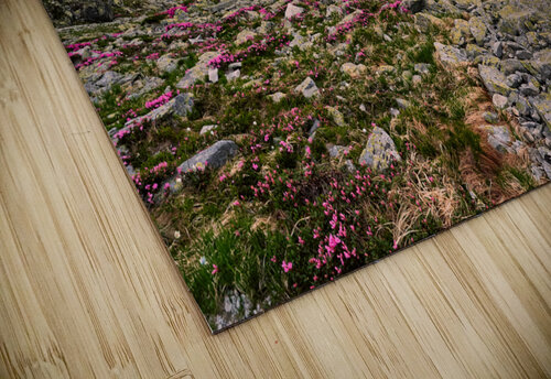 Misty Lakes Catalin Ene puzzle