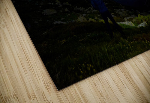 Milky Way  Catalin Ene puzzle