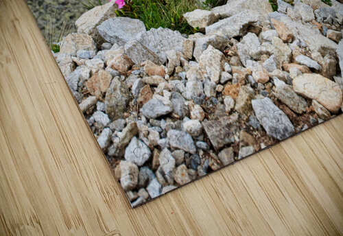 Mountain flowers Catalin Ene puzzle