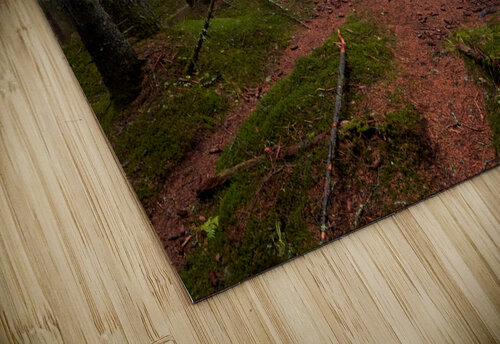 Magic Woodland  Catalin Ene puzzle