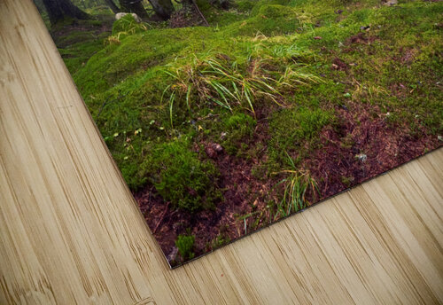 Silence Catalin Ene puzzle