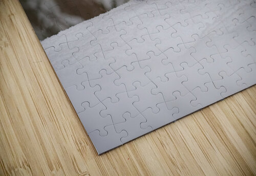 In Wait Catalin Ene puzzle