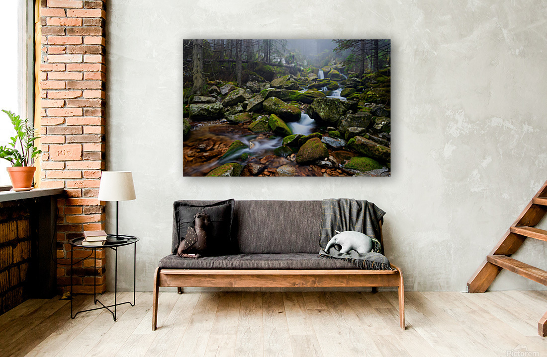Forest Dream in Retezat Reproduction