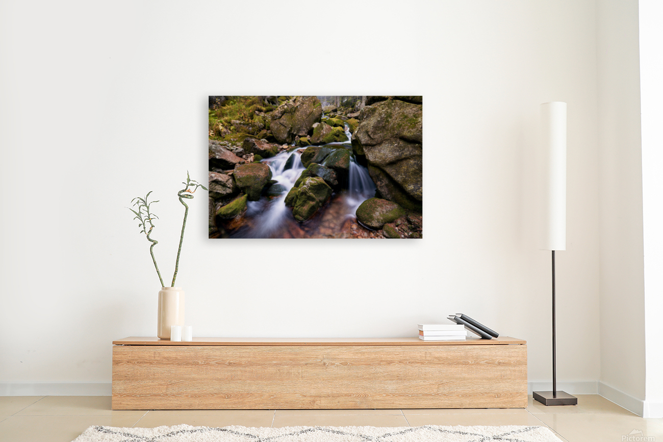 Waterfall details Reproduction