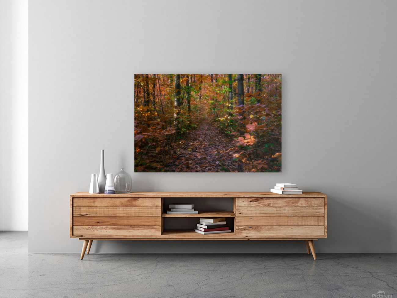 Forests path in Cernica Reproduction