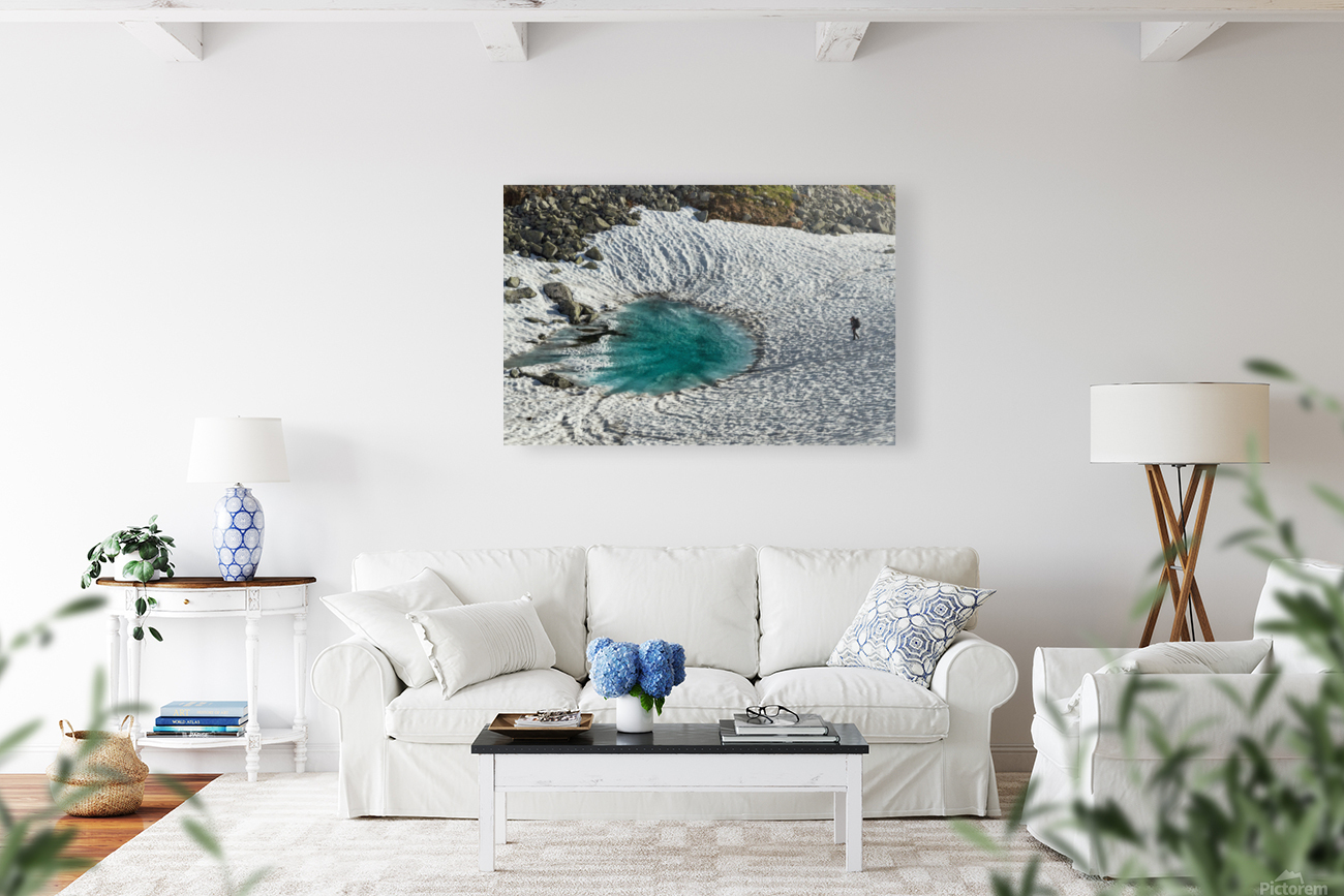 Frozen Lake  Reproduction