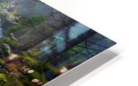 Forest Dream in Retezat HD Metal print