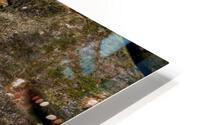 Waterfall details HD Metal print