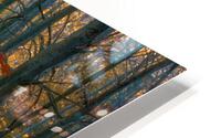 Trees HD Metal print