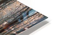 Trees HD Metal print