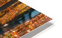 Forests Path HD Metal print