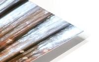 Panning HD Metal print