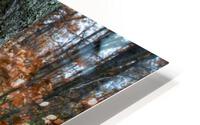 Hollow HD Metal print