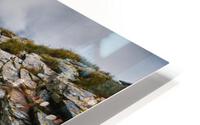 Waters flow HD Metal print