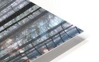 Magic Woodland  HD Metal print