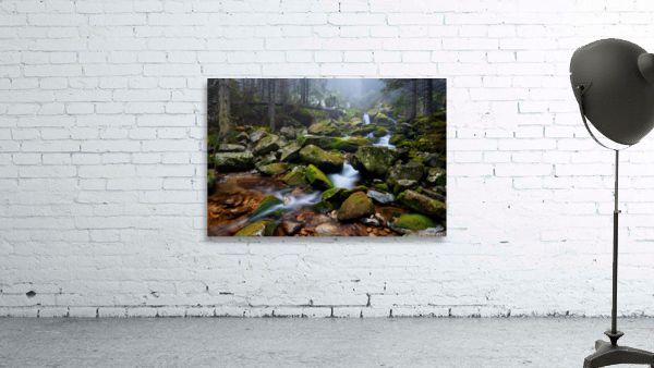 Forest Dream in Retezat Wall Preview