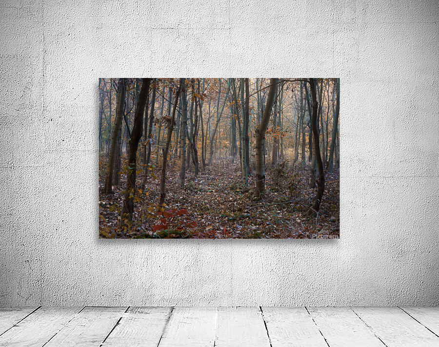 Trees Wall Preview