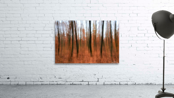 Panning Wall Preview