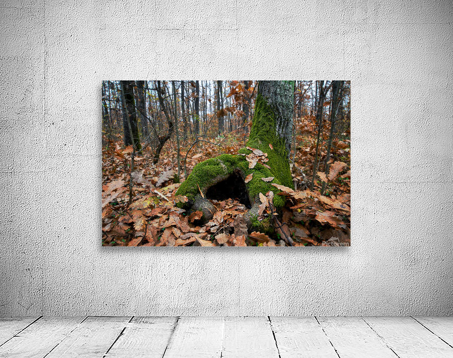 Hollow Wall Preview