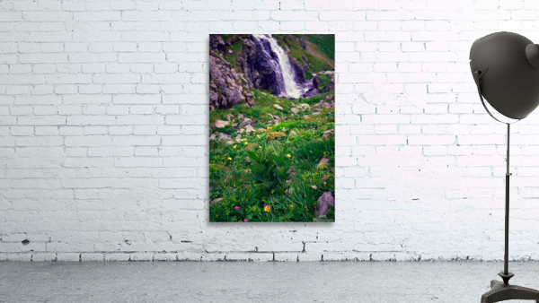 Flowers Wall Preview
