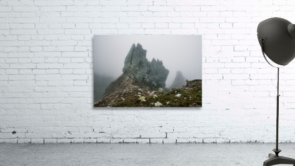 A strange peak shape Wall Preview