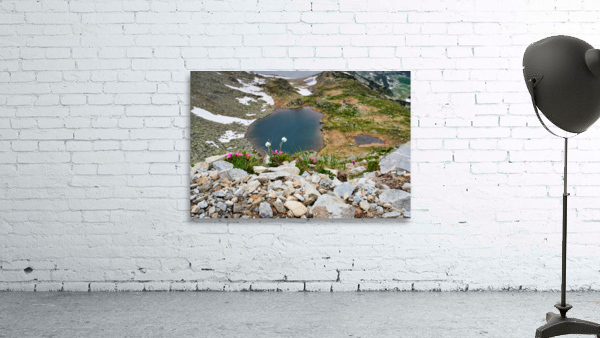 Mountain flowers Wall Preview