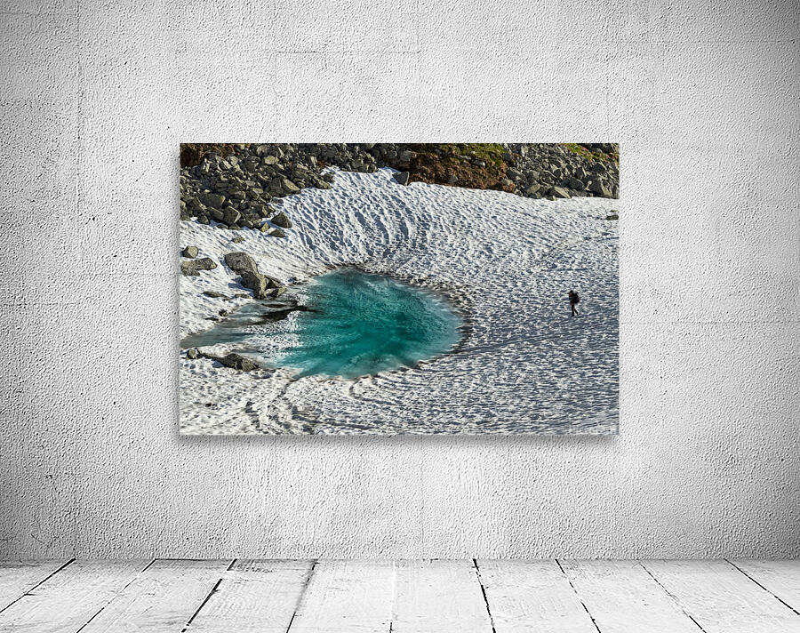 Frozen Lake  Wall Preview