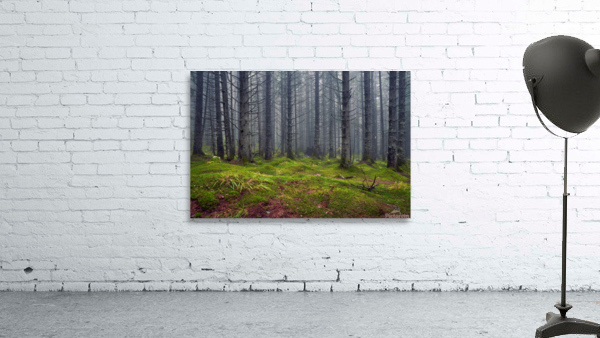 Silence Wall Preview