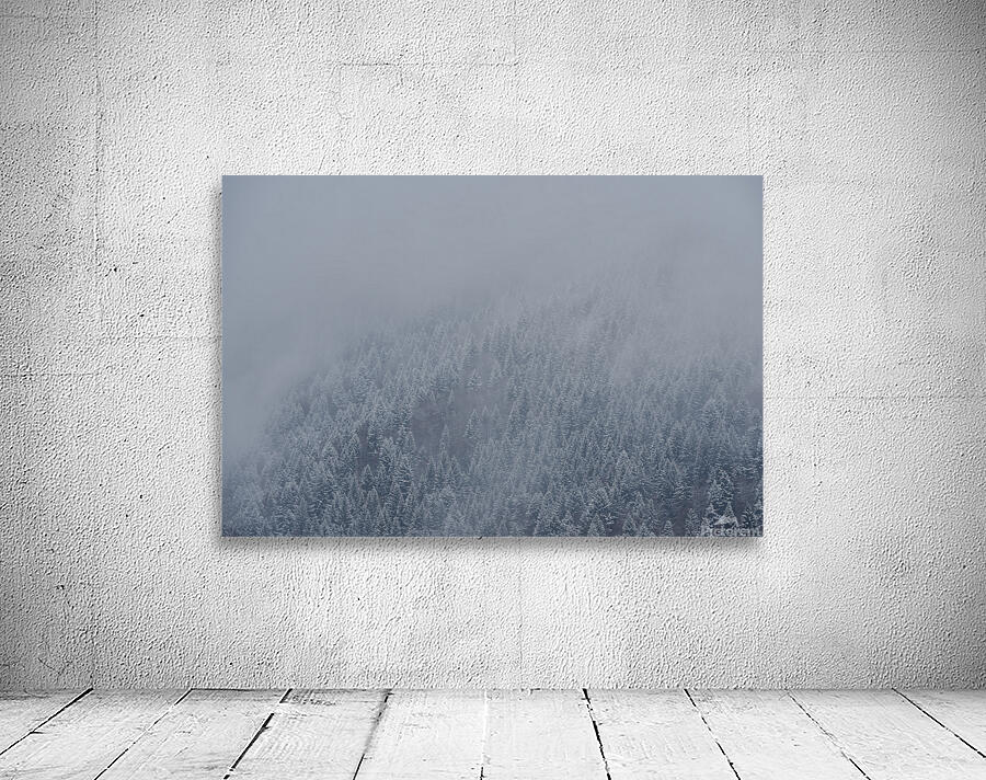 Wrapped in mist Wall Preview