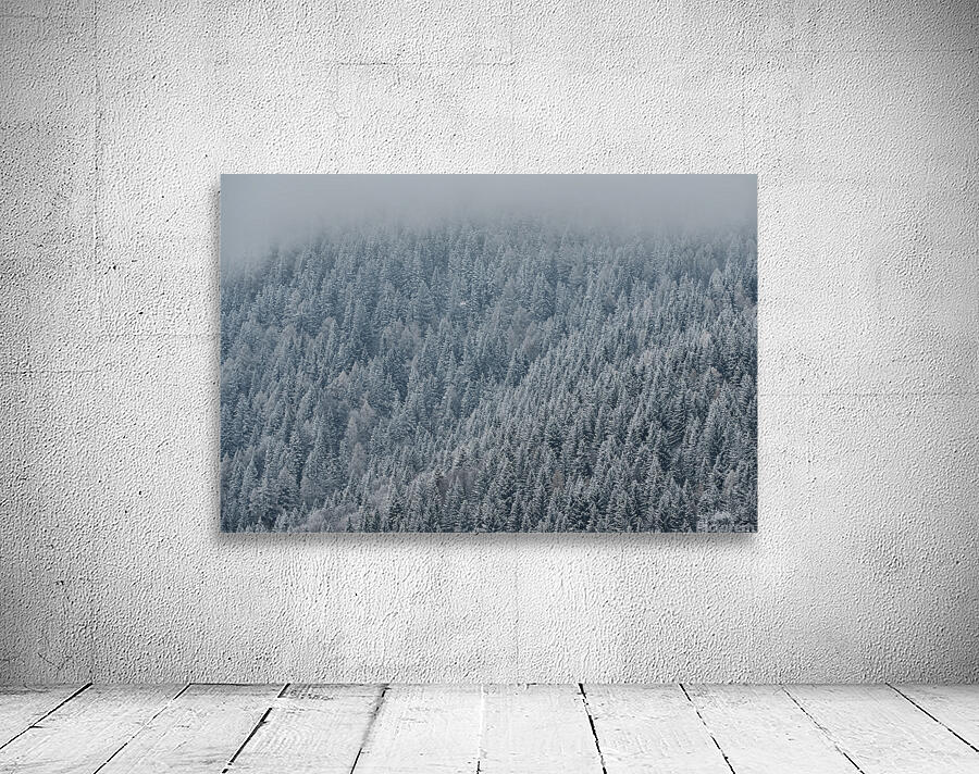 Frozen trees Wall Preview