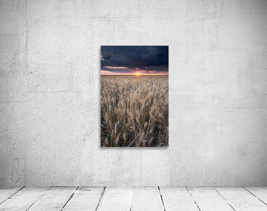 Summer sunset Wall Preview