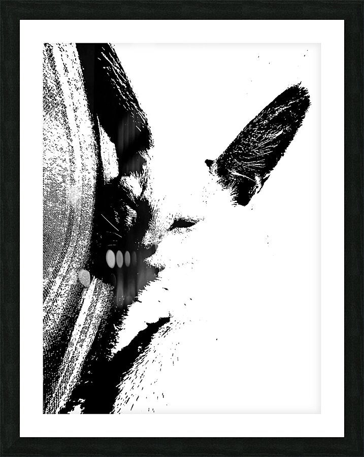 Desillusion  Picture Frame print