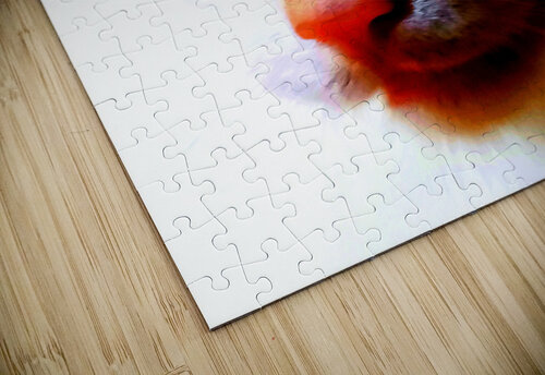 AMINOU CAT  Lucile Meneng puzzle