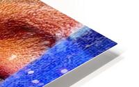 ARAKATIKA 5 HD Metal print