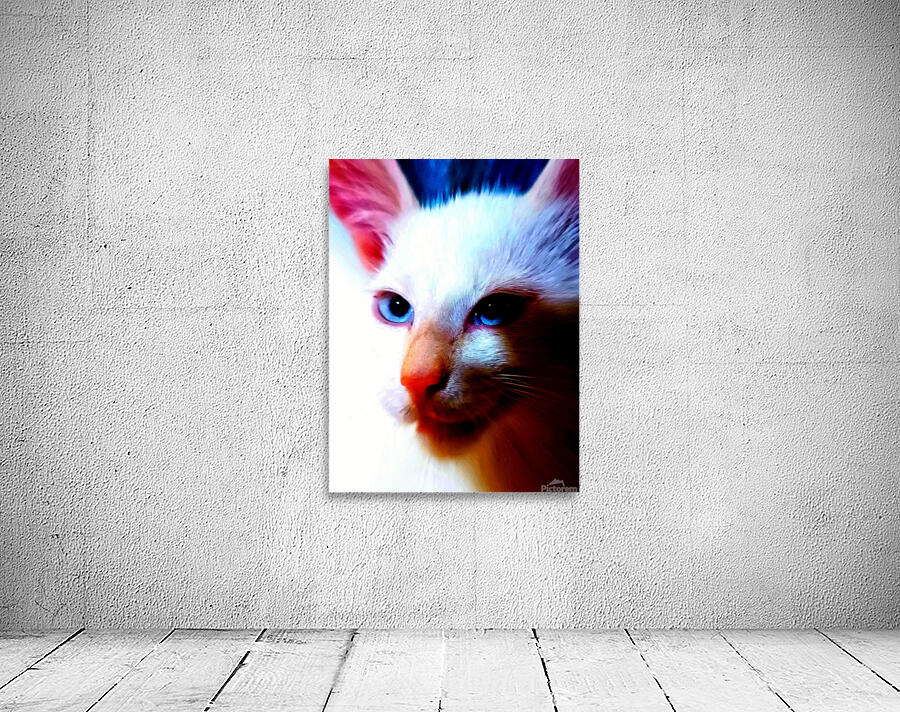 AMINOU CAT  Wall Preview