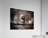 Eastern Bluebird - Inquisitive Acrylic Print