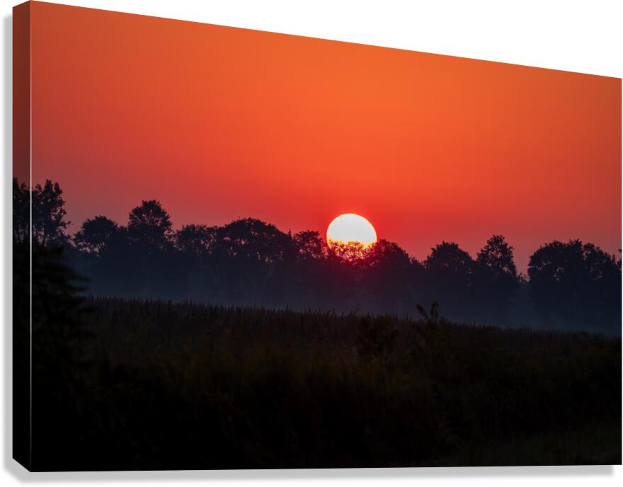 Sunrise at Pungo Canvas Print