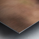 Squirrel in the Sunlight Metal print