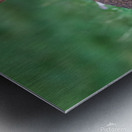 Backyard Bunny - Spring Days Metal print