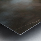 Curious Red Shouldered Hawk Metal print